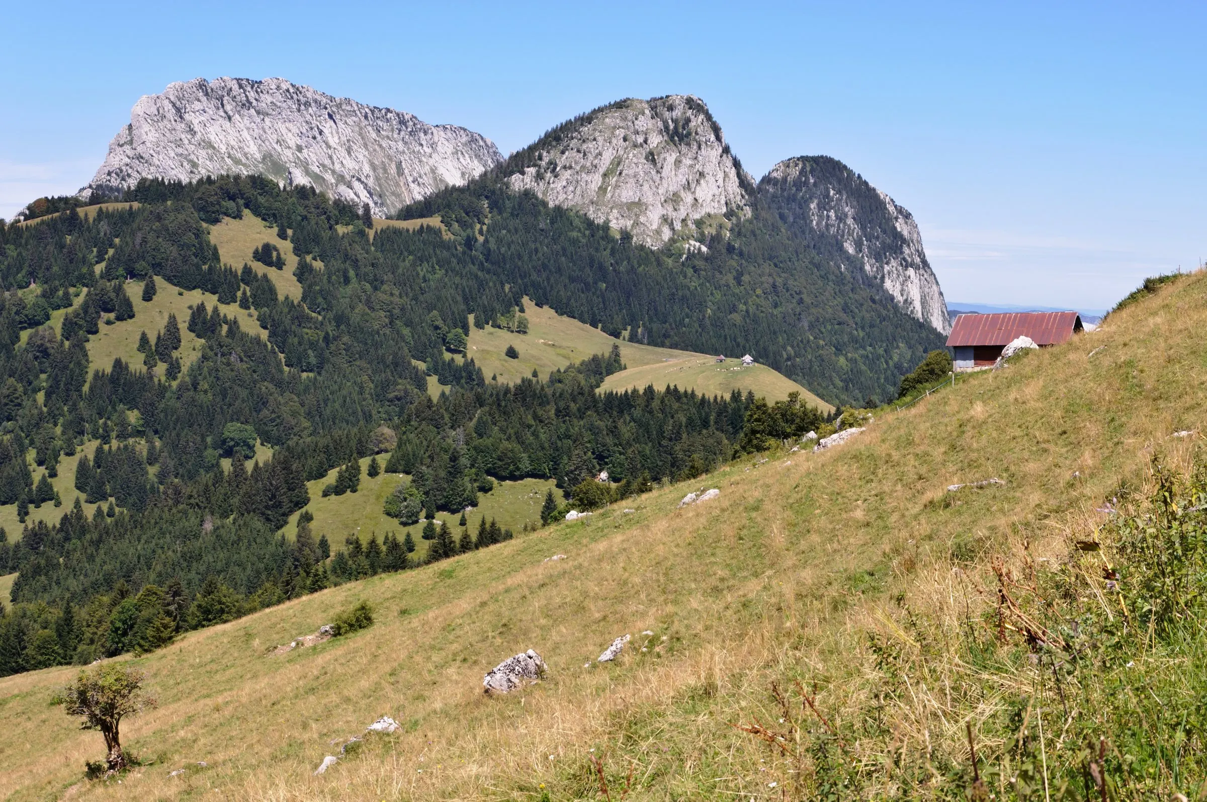Un alpage d’été avec un chalet au toit rouge, face aux falaises calcaires du Roc des Bœufs et du Crêt du Char, dans le massif des Bauges